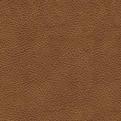 Emilia 3-Piece Sectional Sofa