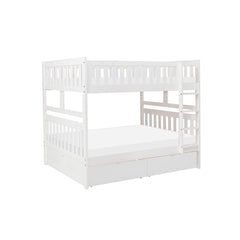 Galen - Bunk Bed