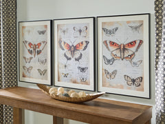 Furniture City Laplace - Ashley Furniture - Jossletts Wall Art (Set of 3) - Wall Art Set (3/CN) - A8000490