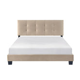 Newberry - Platform Bed