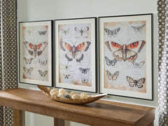 Jossletts - Wall Art Set (Set of 3) - Orange / Black / Ivory