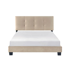 Newberry - Platform Bed