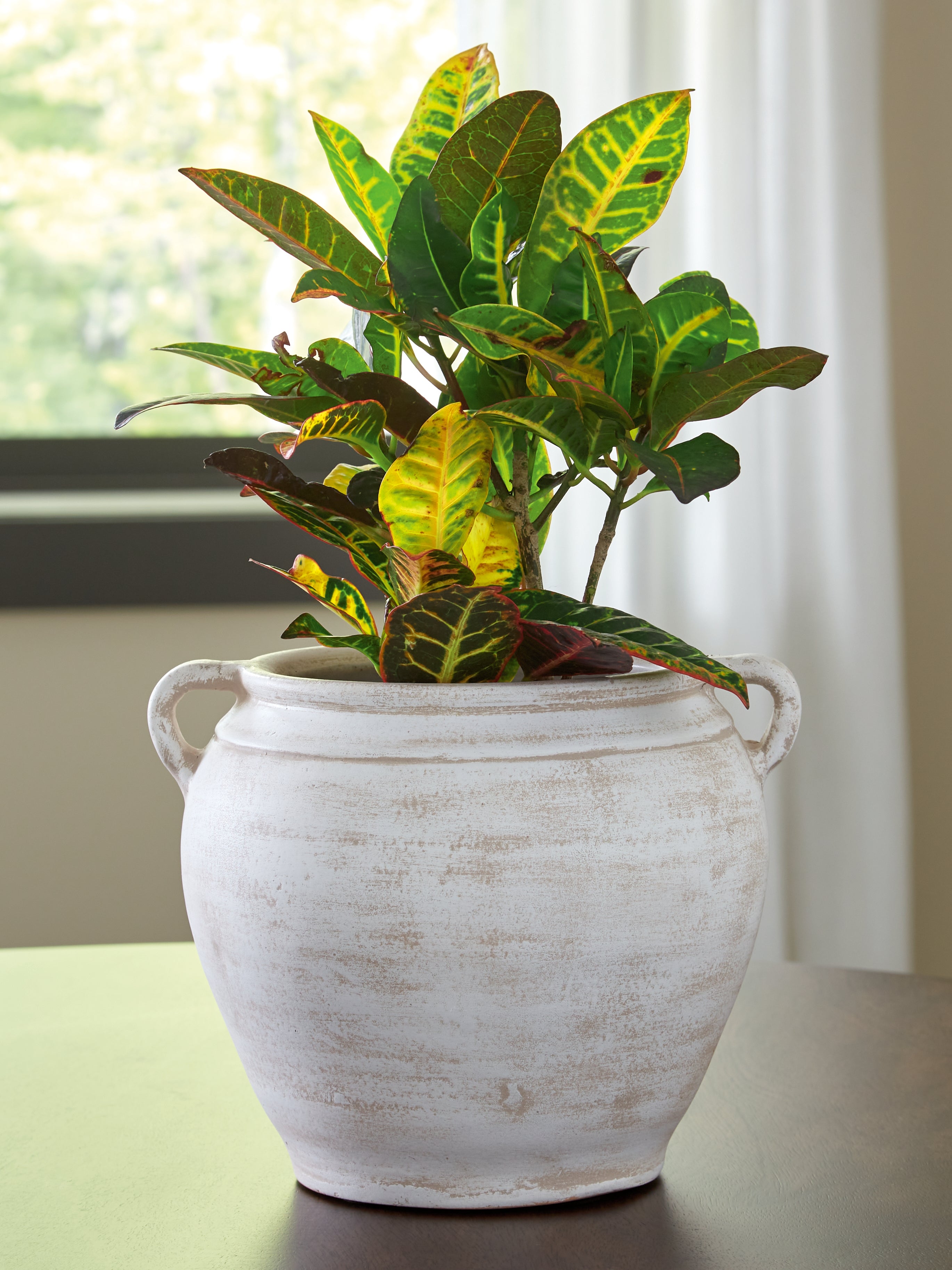Furniture City Laplace - Ashley Furniture - Meadie Vase - Vase - A2000787