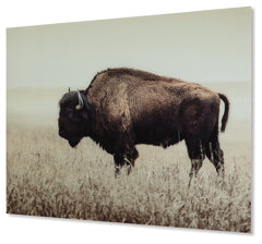 Furniture City Laplace - Ashley Furniture - Brutus Wall Decor - Wall Art / Sepia - A8000289