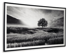 Furniture City Laplace - Ashley Furniture - Deborland Wall Decor - Wall Art - A8000341