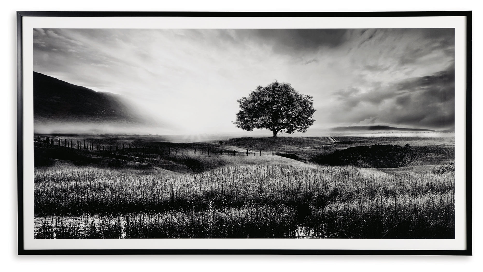 Furniture City Laplace - Ashley Furniture - Deborland Wall Decor - Wall Art / Black/White - A8000341