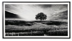Furniture City Laplace - Ashley Furniture - Deborland Wall Decor - Wall Art / Black/White - A8000341