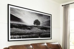 Furniture City Laplace - Ashley Furniture - Deborland Wall Decor - Wall Art / Black/White - A8000341