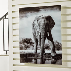 Furniture City Laplace - Ashley Furniture - Glinyard Wall Decor - Wall Art - A8000421