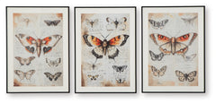 Jossletts Wall Decor