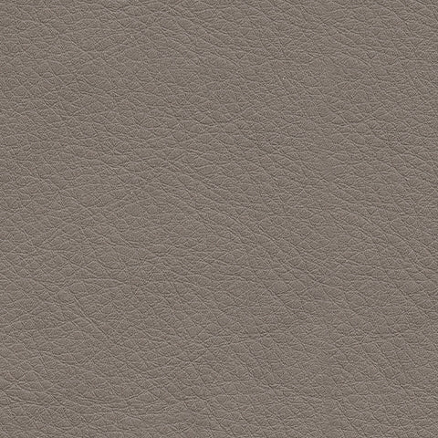 5Z-ComfortLiving Room